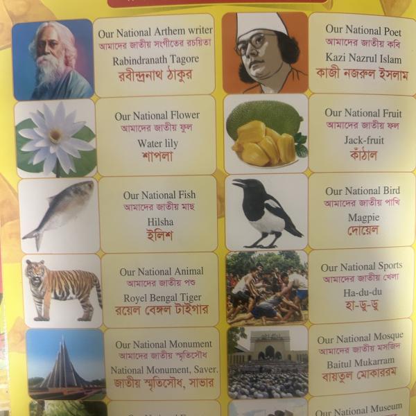 Bangla Adarshalipi - 35 in One